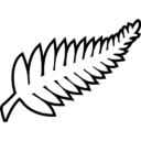 New Zealand National Football Team Logo