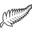 New Zealand National Football Team Logo
