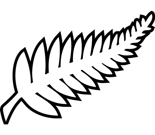 New Zealand National Football Team Logo
