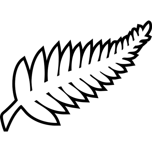 New Zealand National Football Team Logo