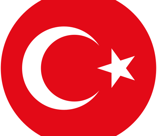 Turkey National Football Team Logo